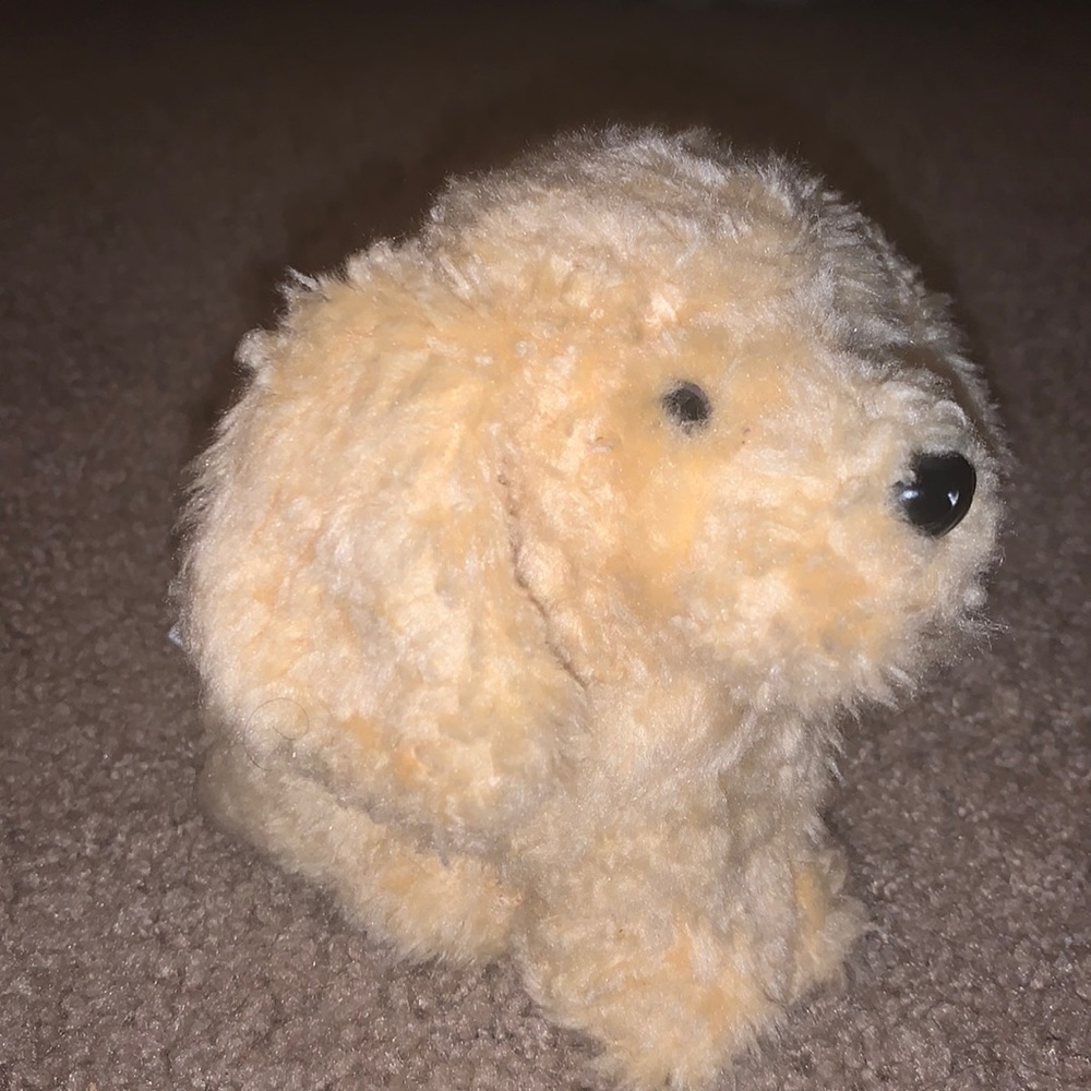 American Girl Dog Honey (Costco version)